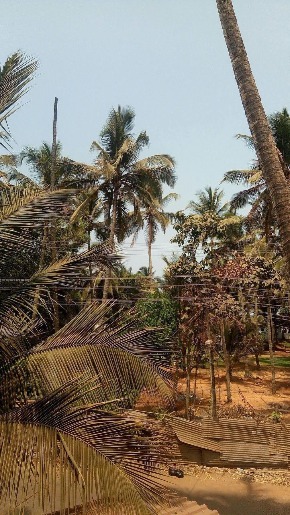 Hotel Shiva Ashvem Ashvem Beach Luaran gambar